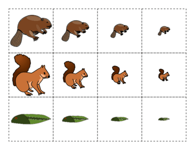 Beavers Largest to Smallest Cutouts